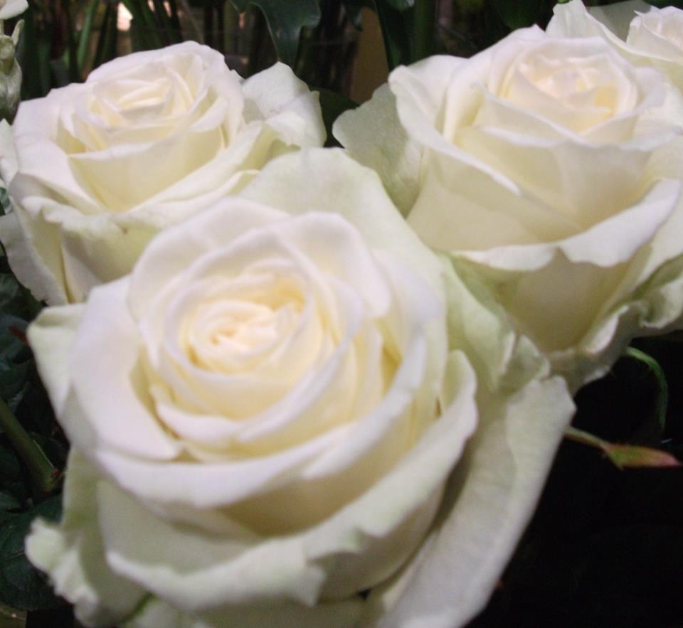 Décoration de mariage pour réussir ses fêtes.